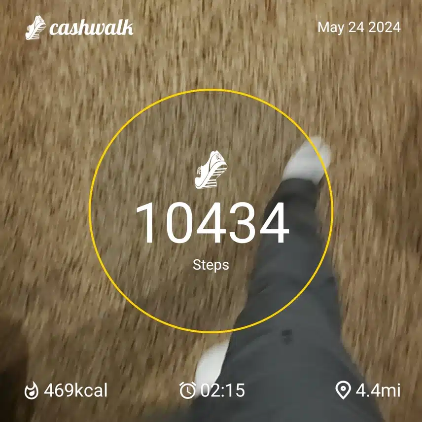 CashWalk_share_capture_20240524_7aeb9a08-3ede-45f6-bafb-78e4b21f