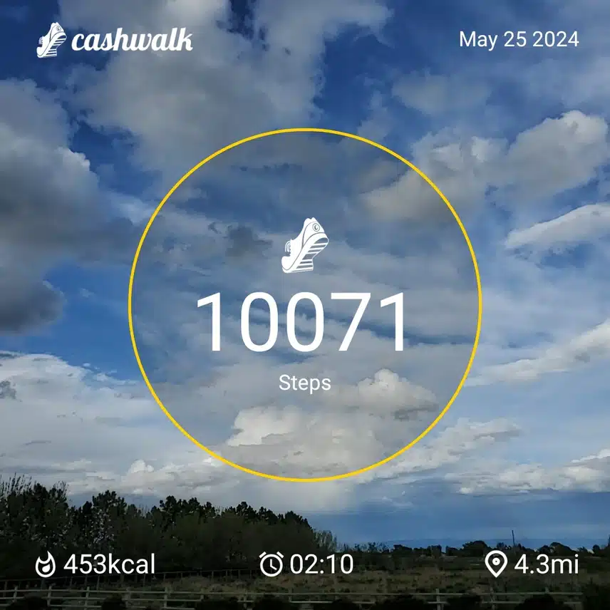 CashWalk_share_capture_20240525_04c18663-4805-42ee-94b8-0b85576c