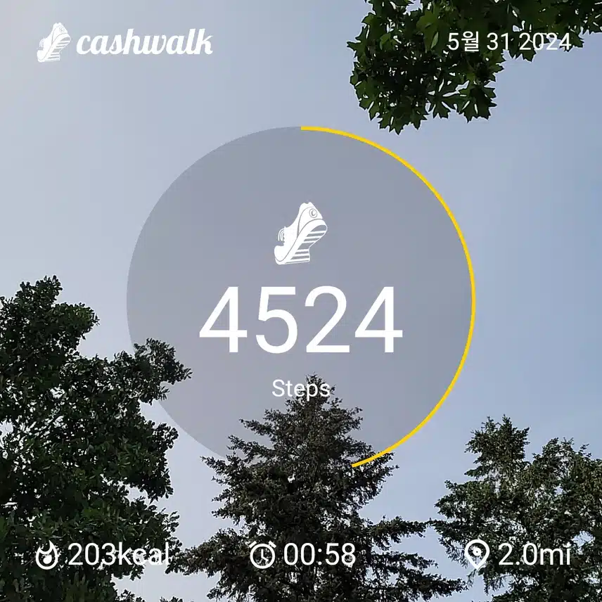 CashWalk_share_capture_20240531_0cce276f-a641-4022-ab58-c076c3ca