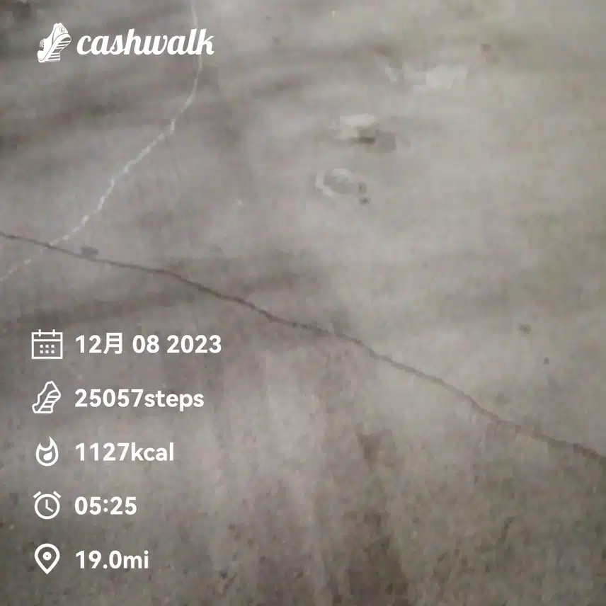 CashWalk_share_capture_20231208_521a60d2-0e5f-4035-8202-d455e764