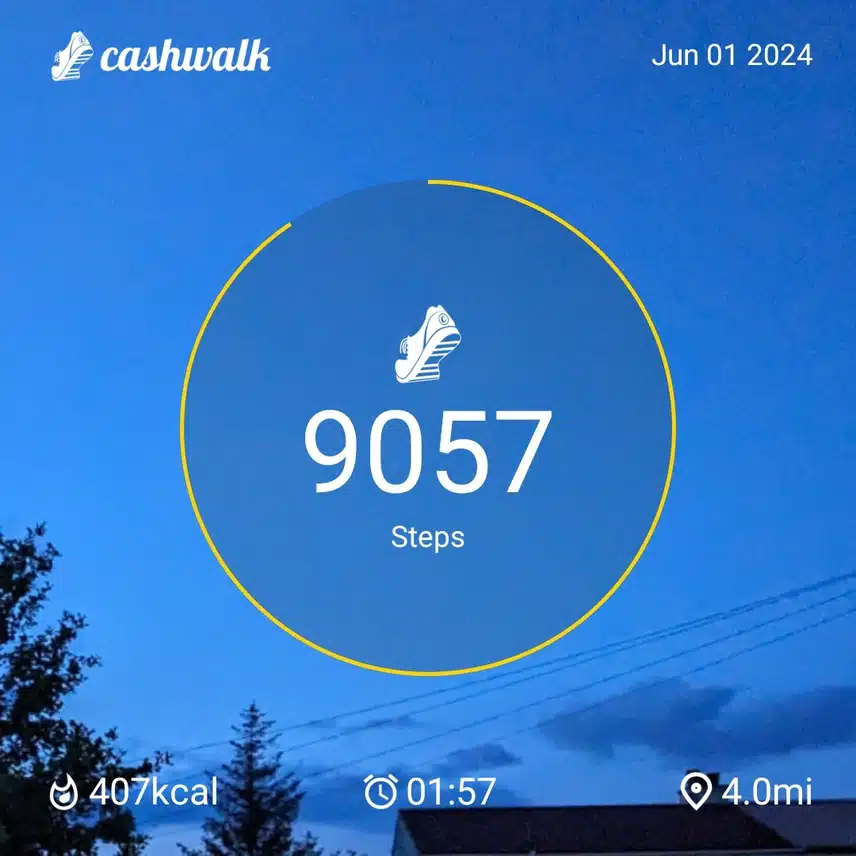1000012683.jpg_resize