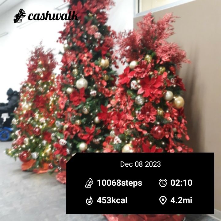 CashWalk_share_capture_20231208_427925c8-4ecb-4a93-a2d4-c26a10ce