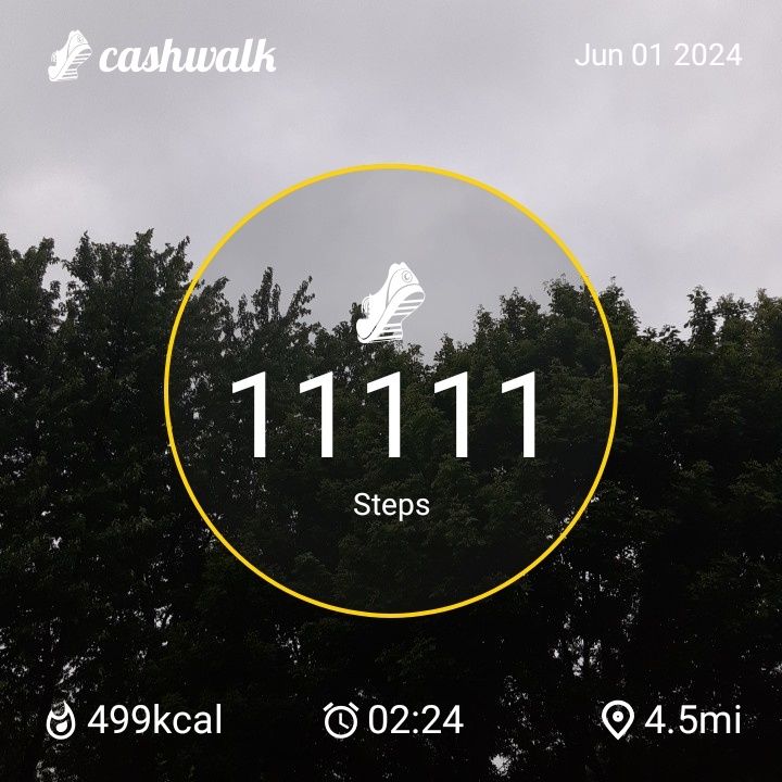 CashWalk_share_capture_20240601_190c56fa-ac82-4ae8-b1be-96f8df01