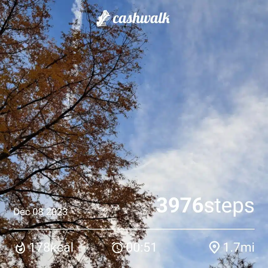 1000004478.jpg_resize