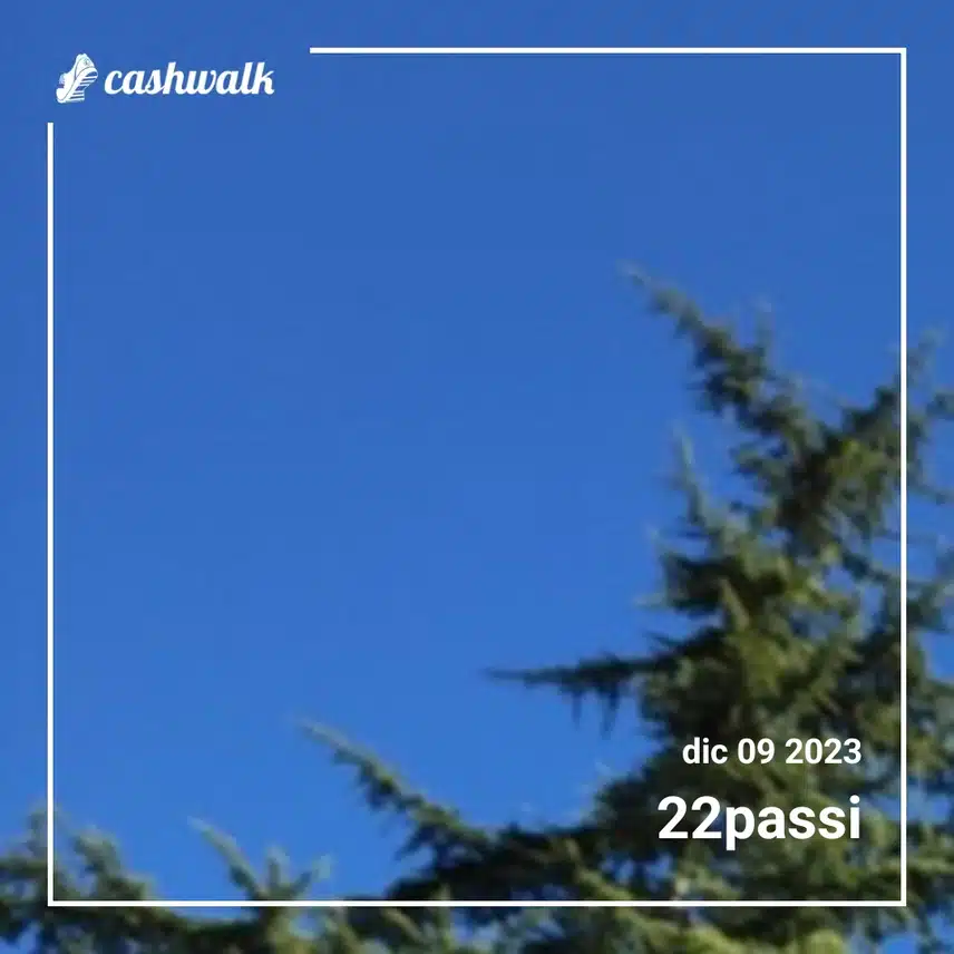 CashWalk_share_capture_20231209_67d94f40-0300-4c41-b473-a12becaf