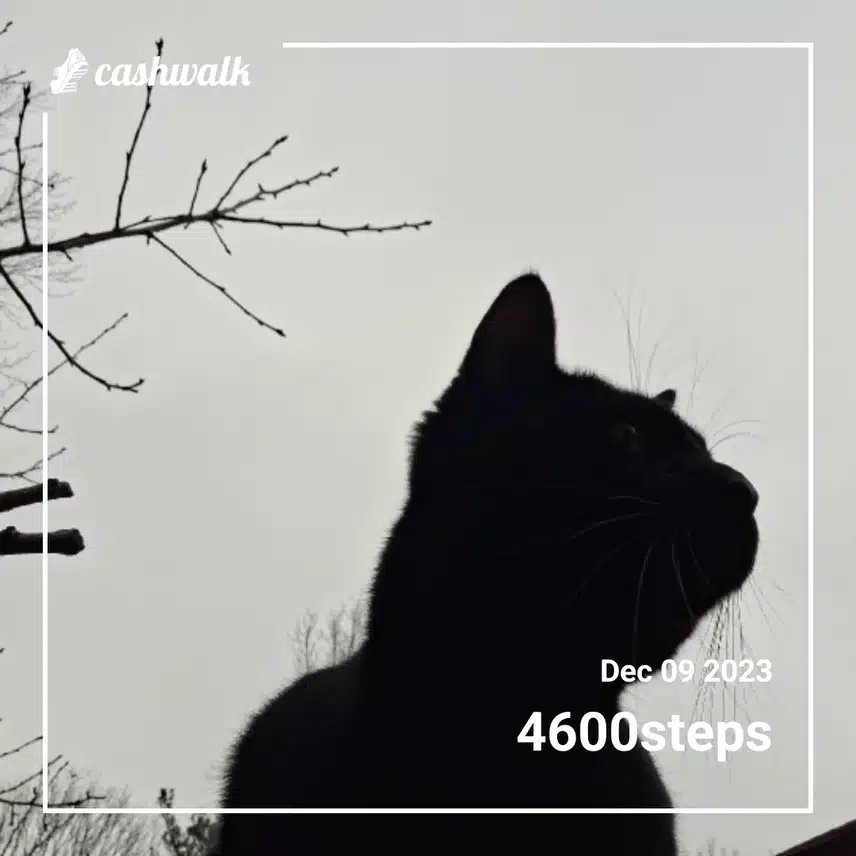 inbound3133172409803483931.jpg_resize