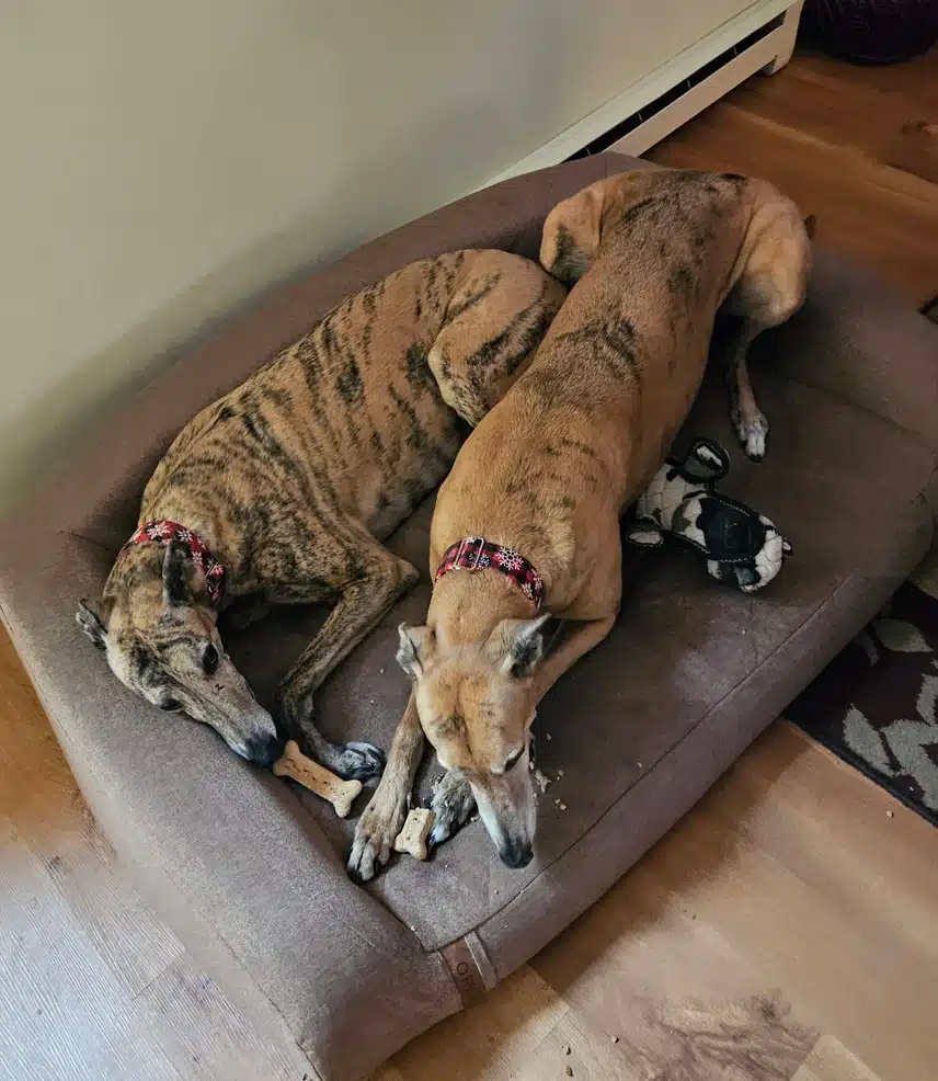 20240304_112301.jpg_resize