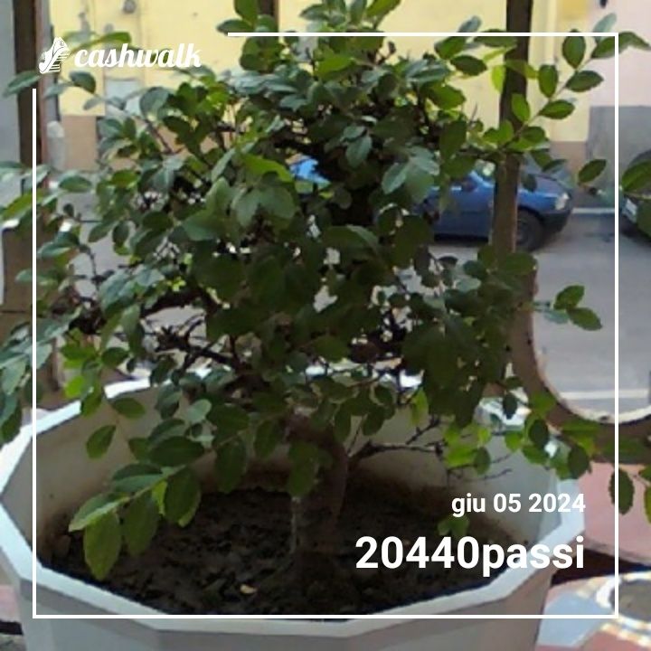 CashWalk_share_capture_20240605_fee52dca-52d0-4979-b5ba-b4701efc
