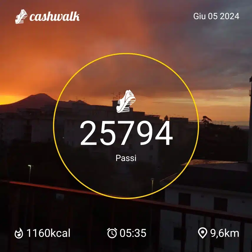 1000032763.jpg_resize