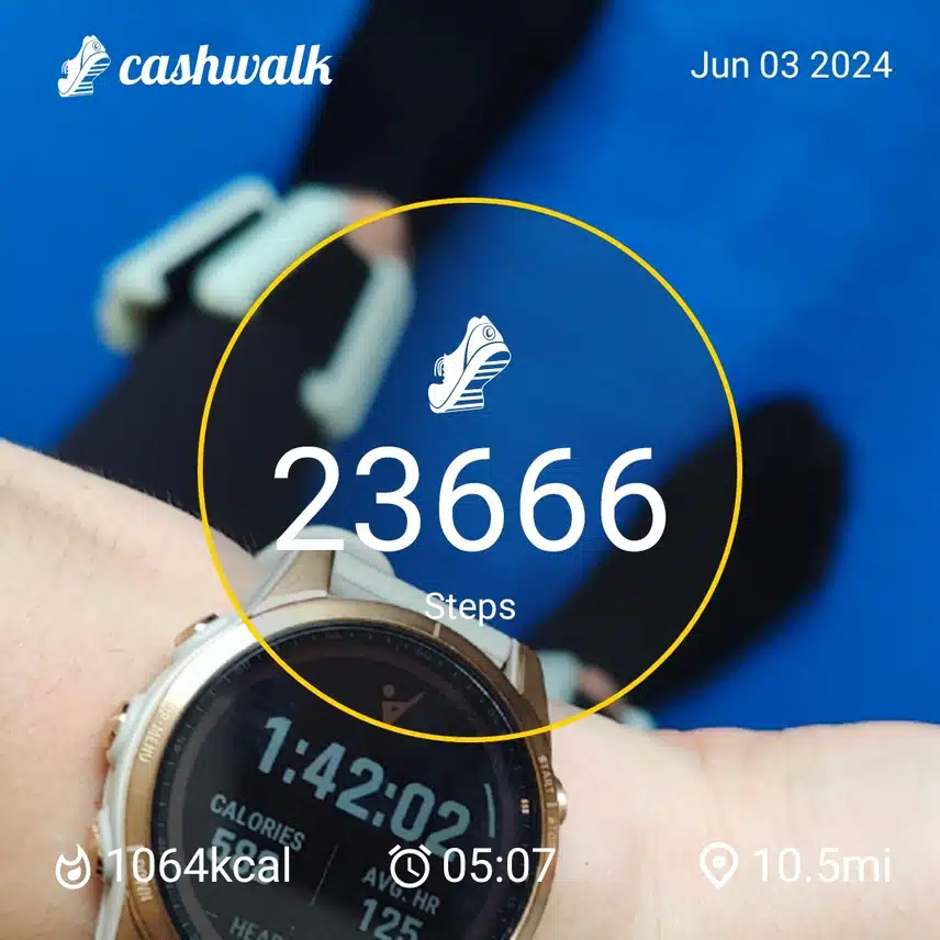 1000039445.jpg_resize