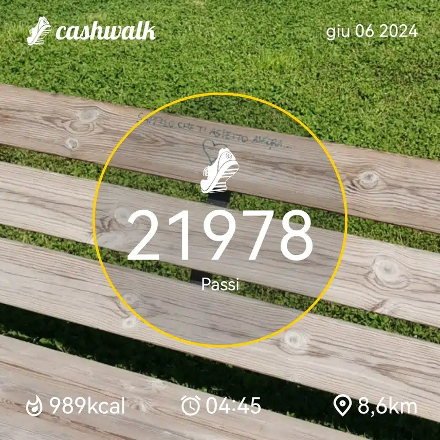 CashWalk_share_capture_20240606_0aeca144-e516-4e40-af89-82ae2668
