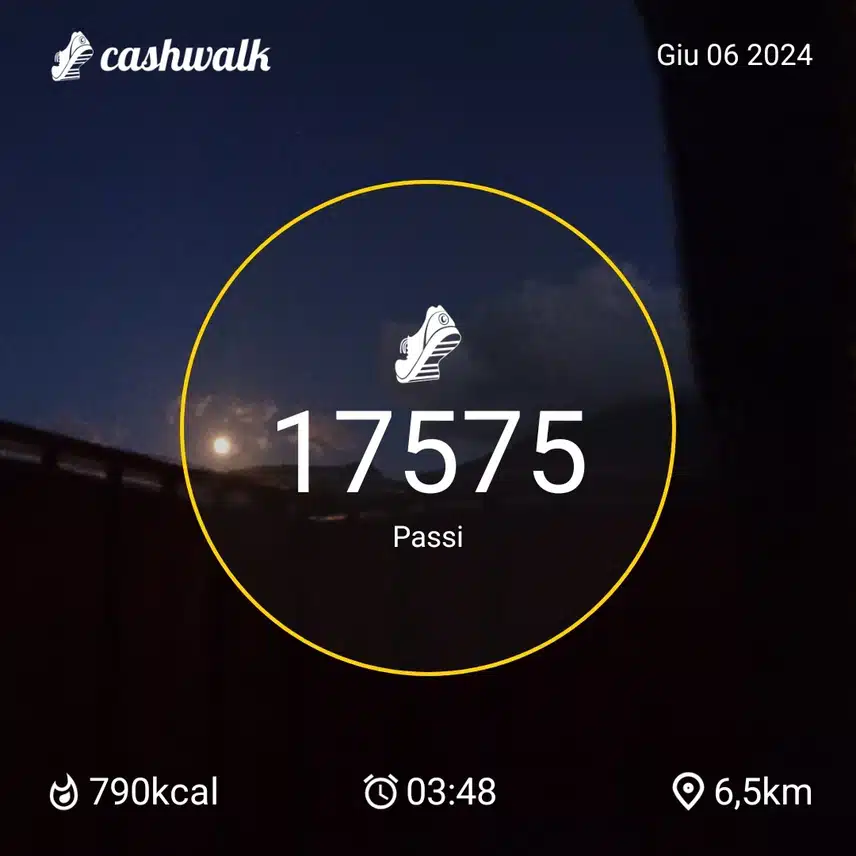 1000032803.jpg_resize