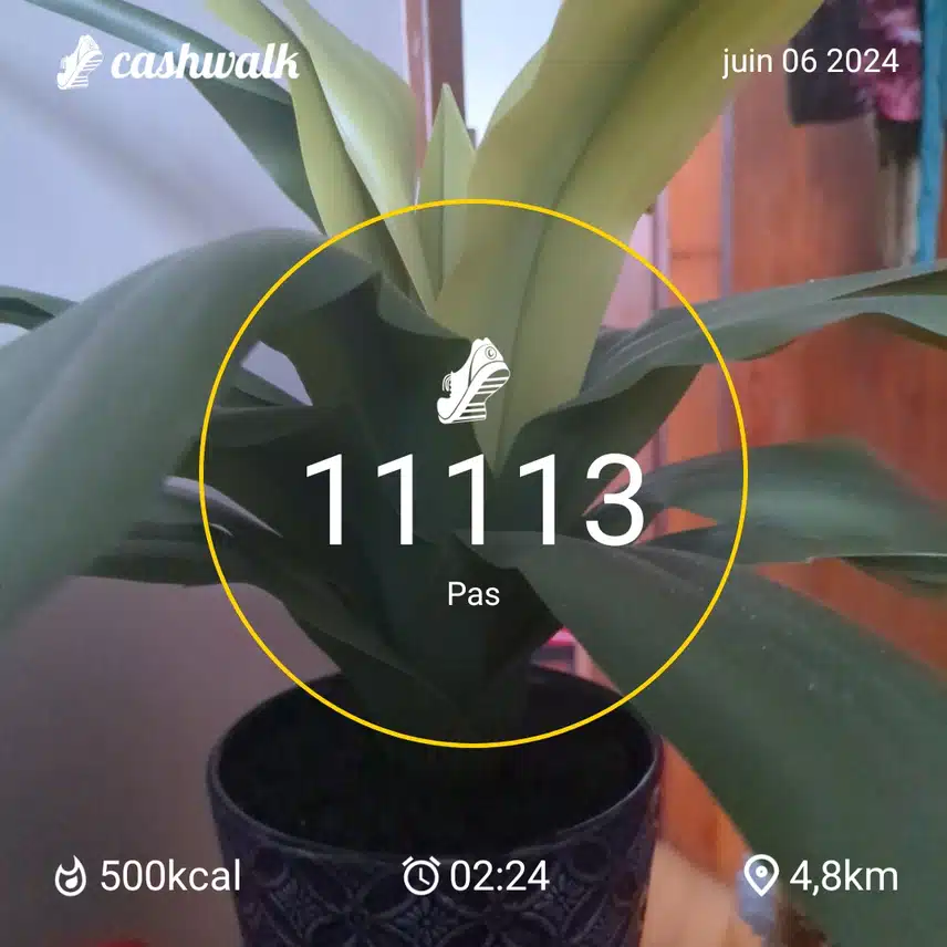 1000009521.jpg