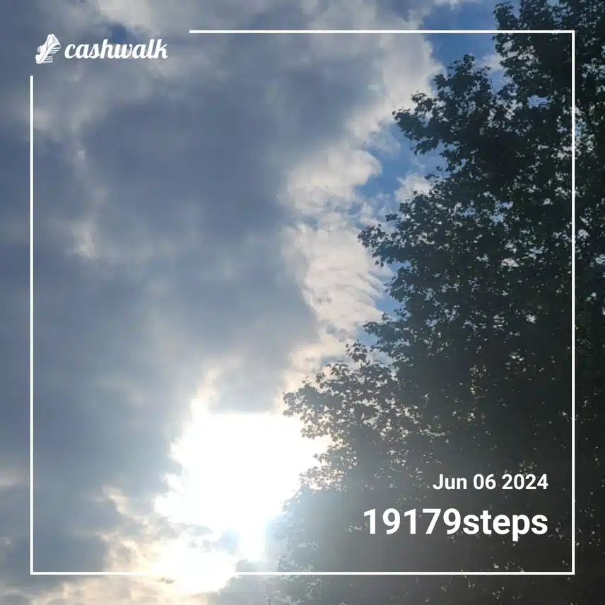 1000075228.jpg_resize