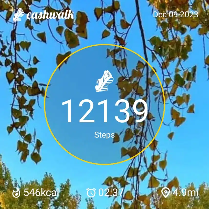 1000012685.jpg_resize