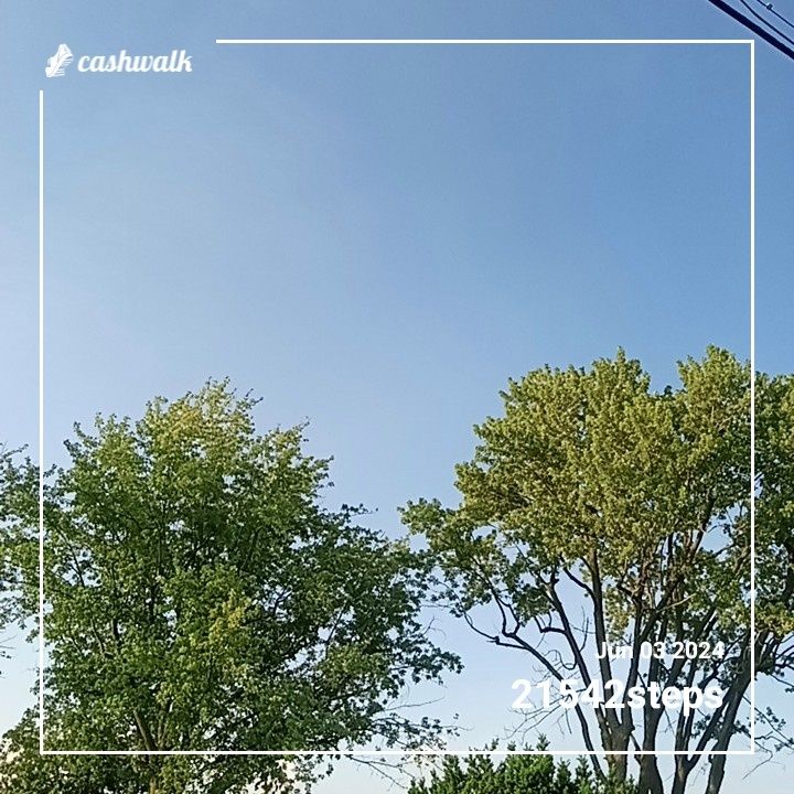 CashWalk_share_capture_20240603_239fc3b7-9c52-4be8-888f-aa8e956c