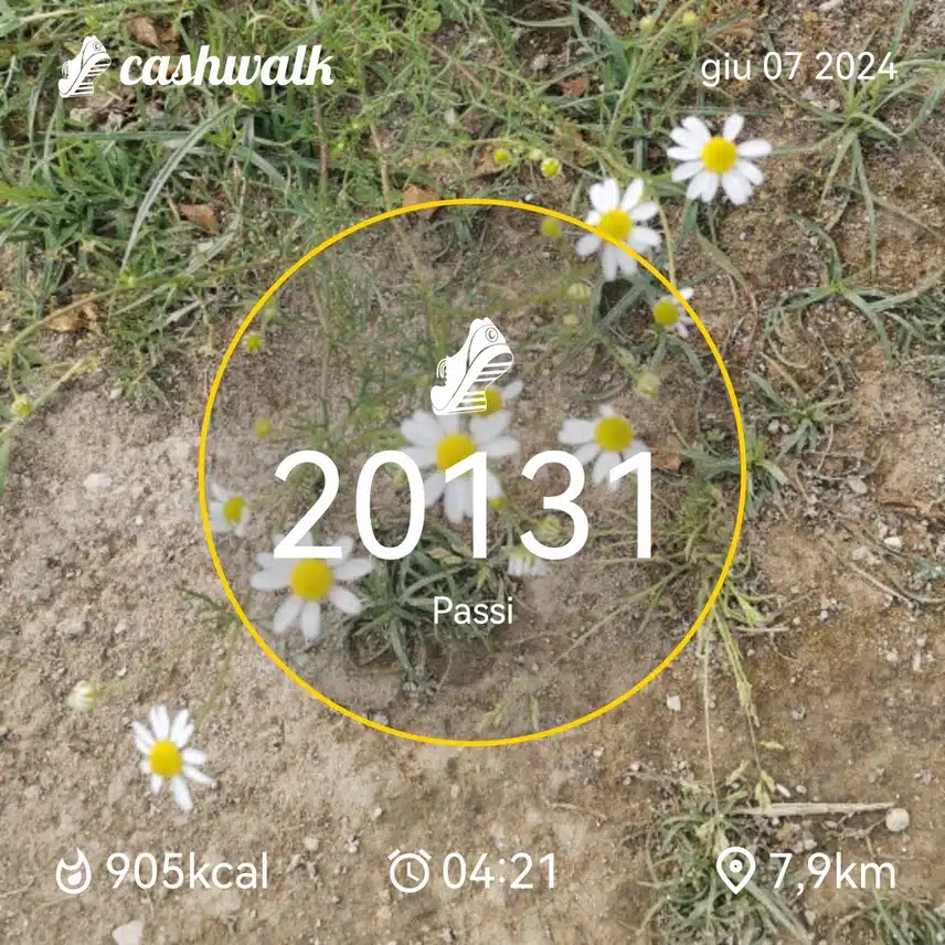 CashWalk_share_capture_20240607_5318a446-5e8d-4ba7-b2b4-e8273020