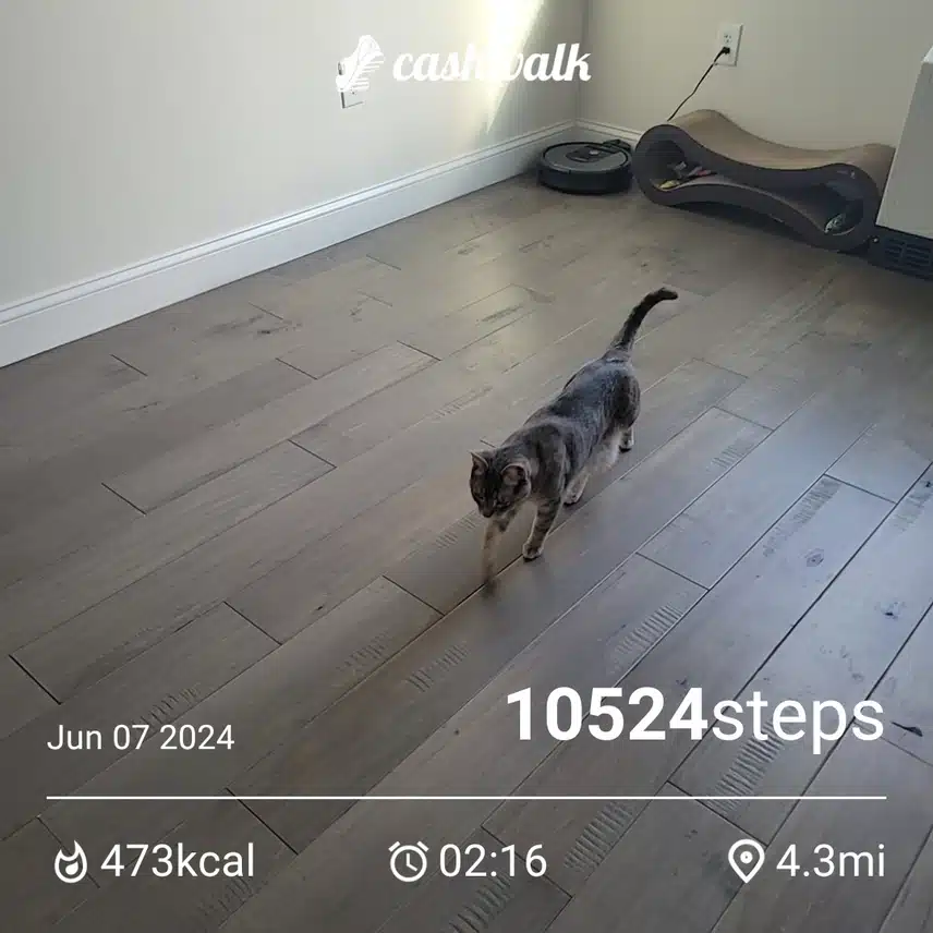 CashWalk_share_capture_20240607_c9febf7a-4be4-41c9-929a-8de04add