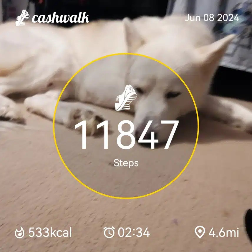 CashWalk_share_capture_20240608_3d96d79b-61a5-49c0-b06f-65276d04