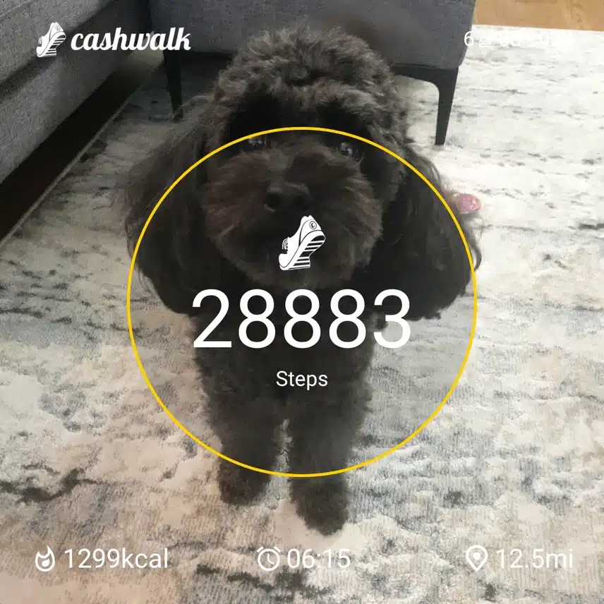CashWalk_share_capture_20240608_2edd8856-25d4-4cdc-b671-4ece1605
