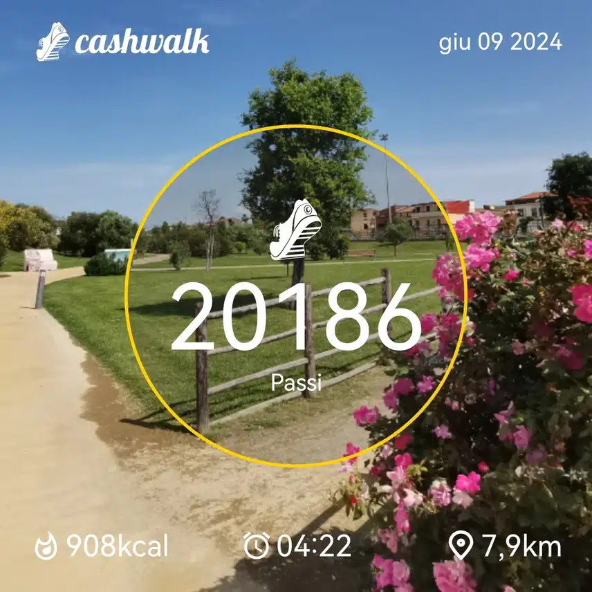 CashWalk_share_capture_20240609_a0107571-f52d-422a-9a88-b87db5af