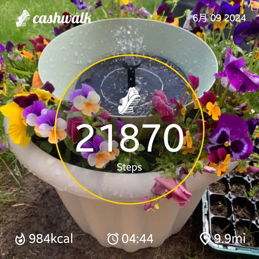 CashWalk_share_capture_20240609_8510974c-42a3-4d81-b337-00a7a44b