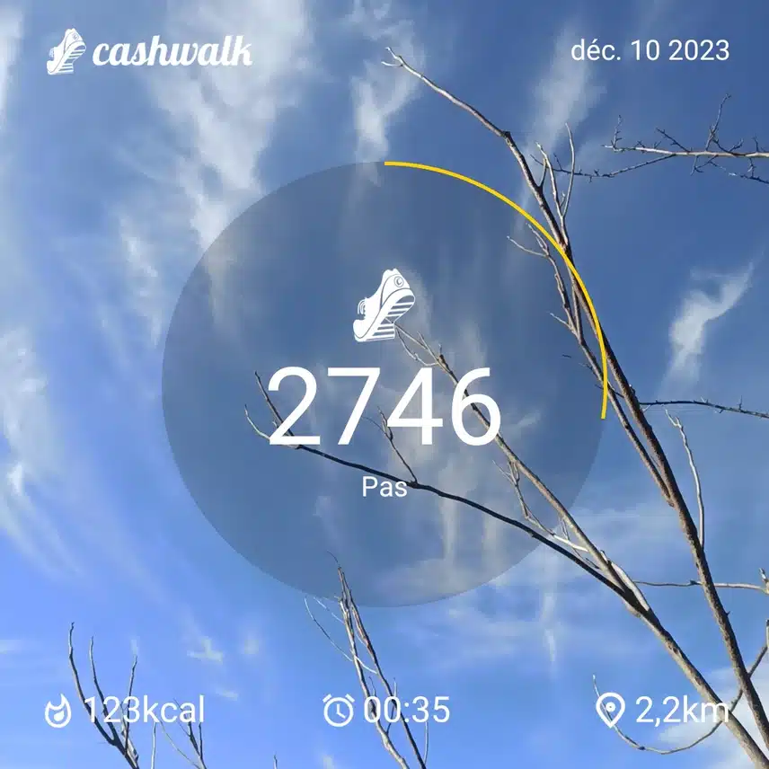 CashWalk_share_capture_20231210_7dab8da1-d4be-4ac3-b3c4-fe551bee