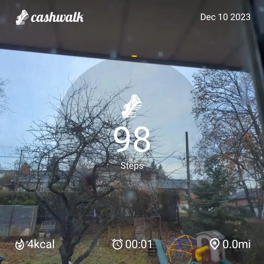 1000005583.jpg_resize