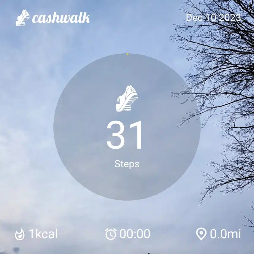 1000003987.jpg_resize