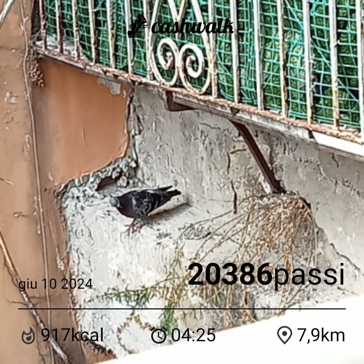 CashWalk_share_capture_20240610_e6f143f1-4110-451b-814e-a75c375d