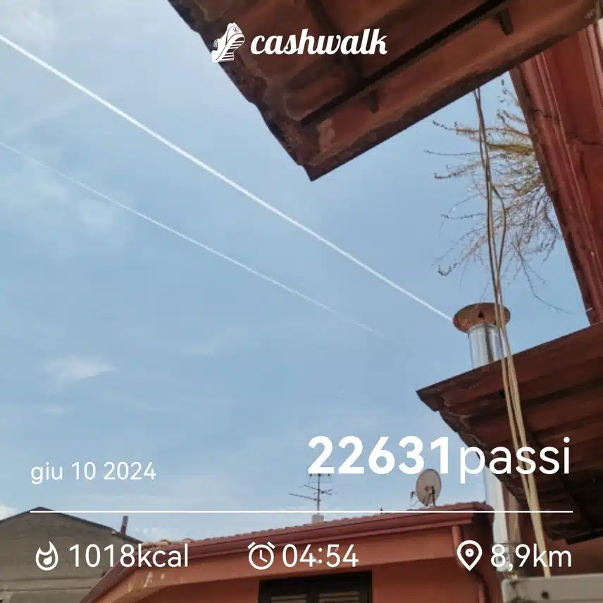 CashWalk_share_capture_20240610_c87f07ba-1f62-4394-af2a-542c7a26