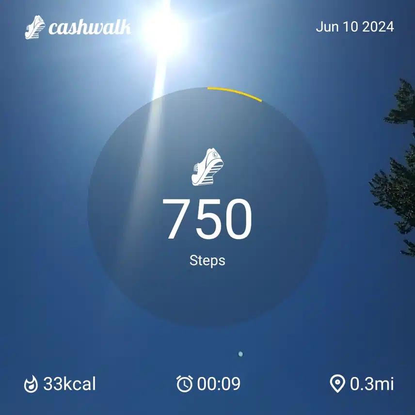 CashWalk_share_capture_20240610_8431359c-f77c-4108-8270-9d7bf390