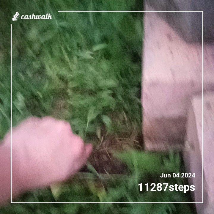 CashWalk_share_capture_20240604_330aaeb0-7d42-4872-a742-f7a92c1a
