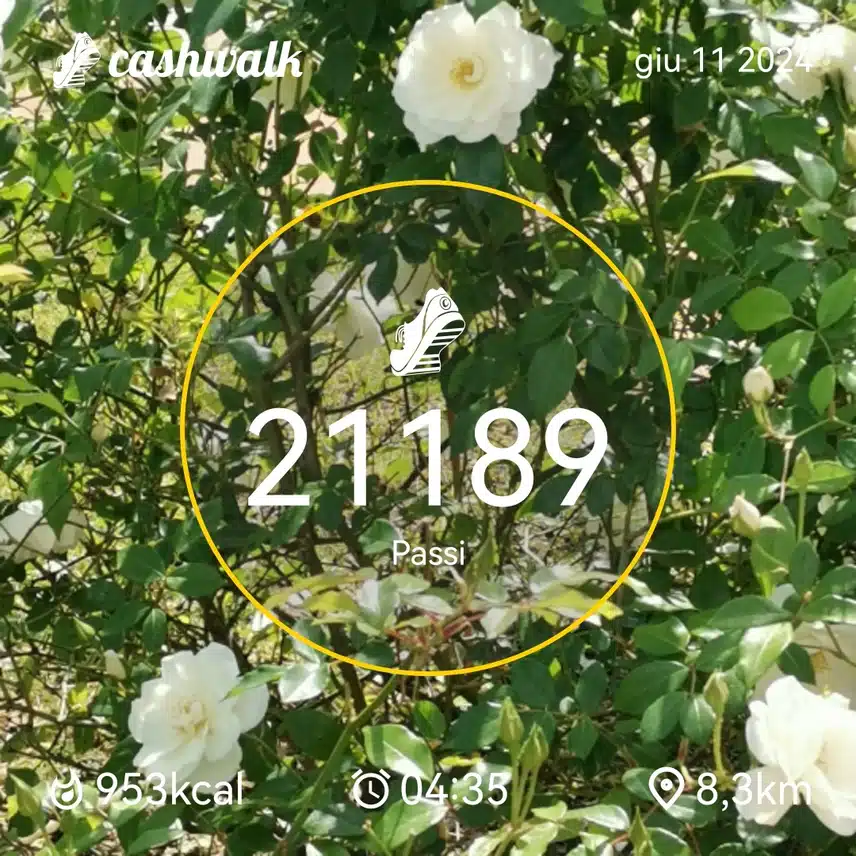 CashWalk_share_capture_20240611_9bf8f0f4-be3e-4748-b84e-184e2e24