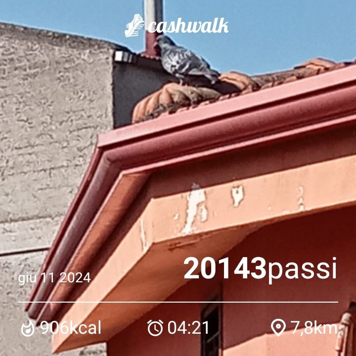 CashWalk_share_capture_20240611_8ba7bad0-a34d-4198-93e5-e6e7e83d