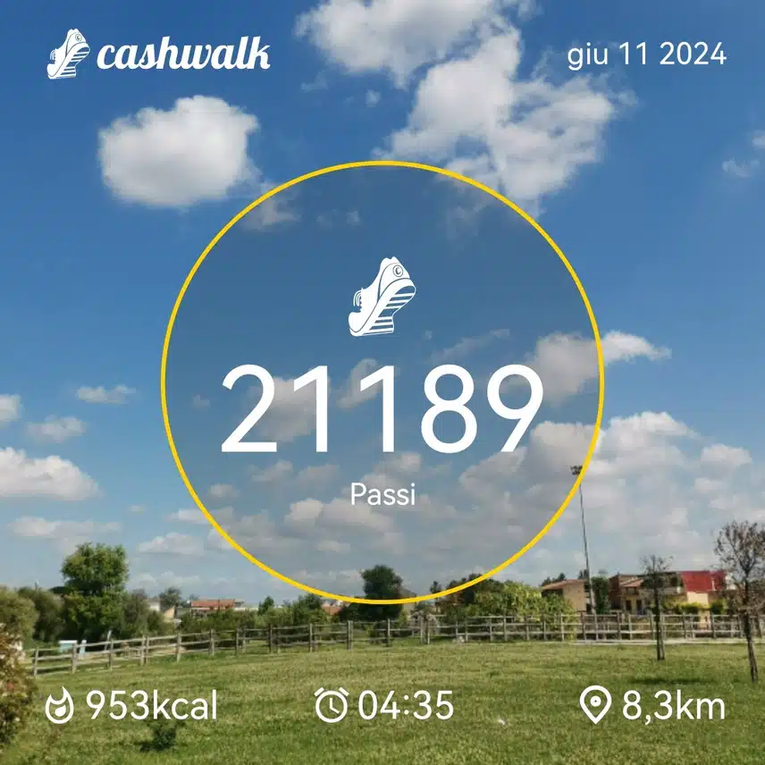 CashWalk_share_capture_20240611_4e18d67a-b568-4e1a-a060-6935adbf