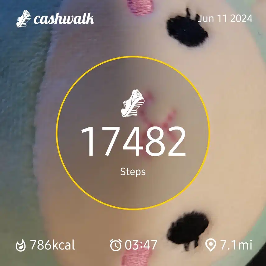 CashWalk_share_capture_20240611_edb06178-f6ef-467f-8605-ef401dd4