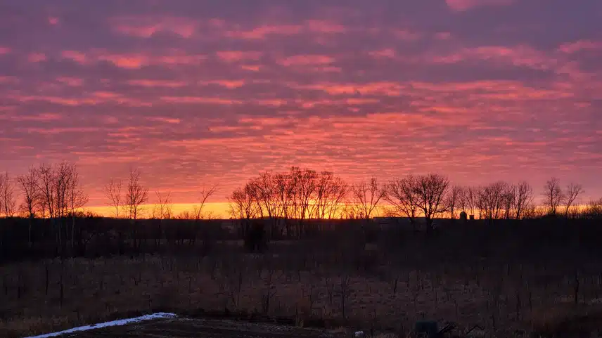 1000000574.jpg_resize