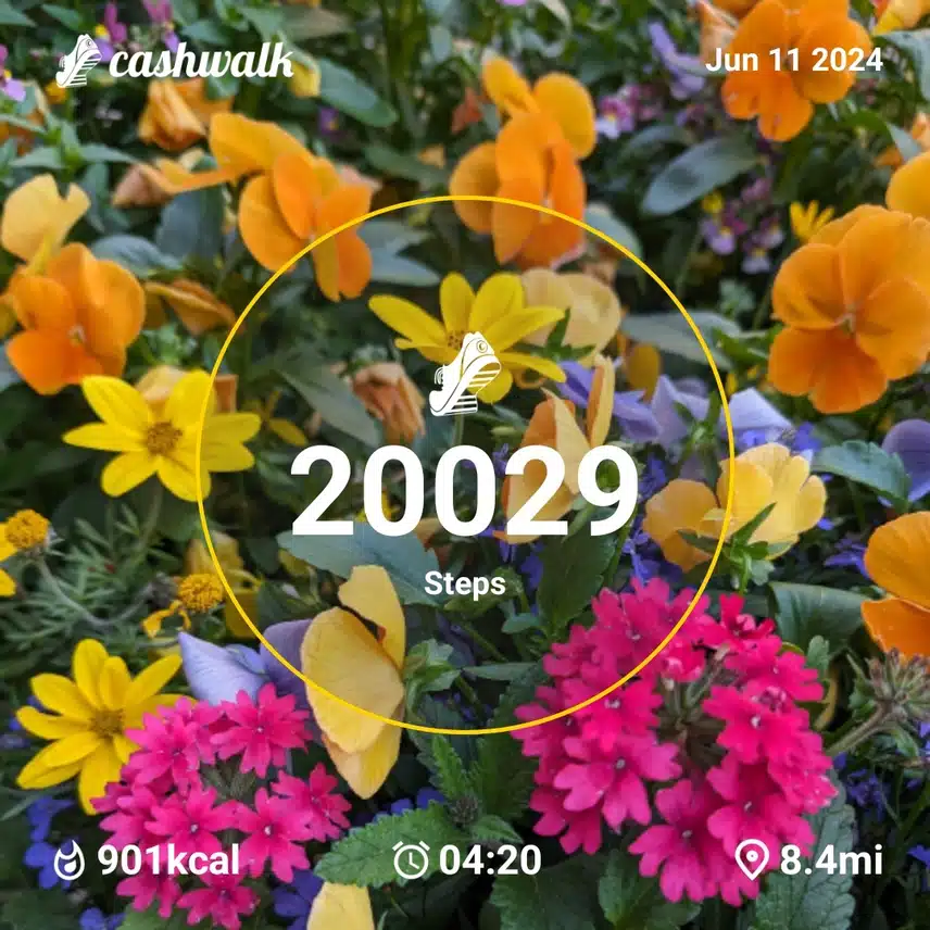 1000027323.jpg_resize