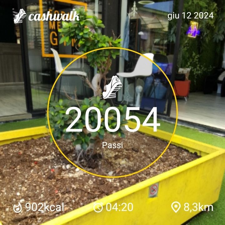 1000016198.jpg_resize