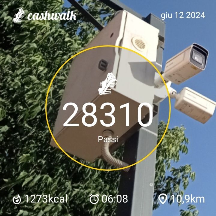 CashWalk_share_capture_20240612_2604075e-d73f-4276-b84e-4d39c910