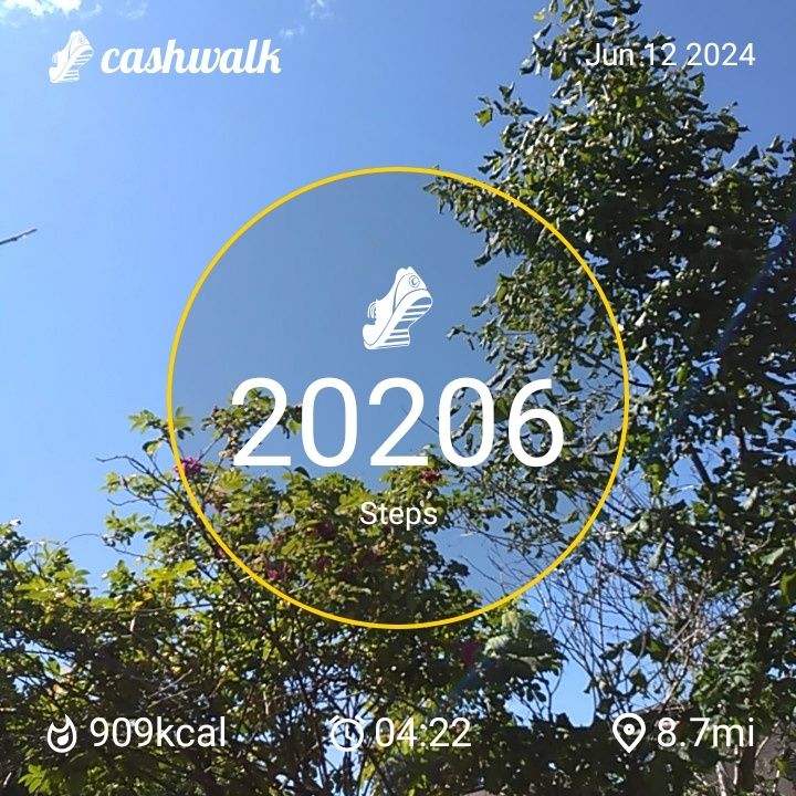 CashWalk_share_capture_20240612_a1ab0f21-9f94-4f99-927e-61ea811a