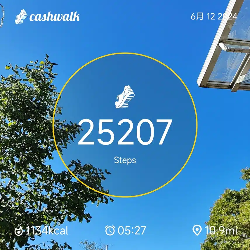 CashWalk_share_capture_20240612_315d6333-d125-43bf-8654-bef548d1