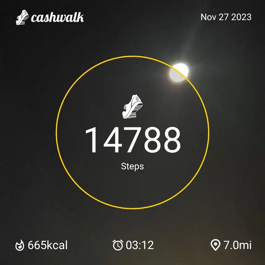 CashWalk_share_capture_20231127_e13c2c59-4d20-4446-90c8-8d3d526a