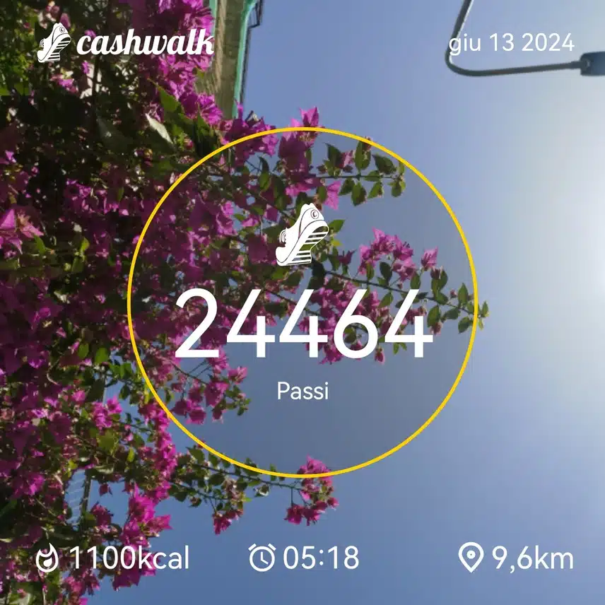 CashWalk_share_capture_20240613_d99d66dc-edb9-4727-9d59-90637dc9
