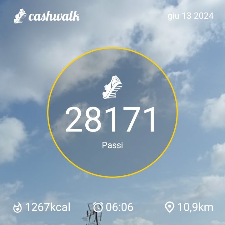 CashWalk_share_capture_20240613_67f025fc-5cdc-4798-9816-d8f77e8b