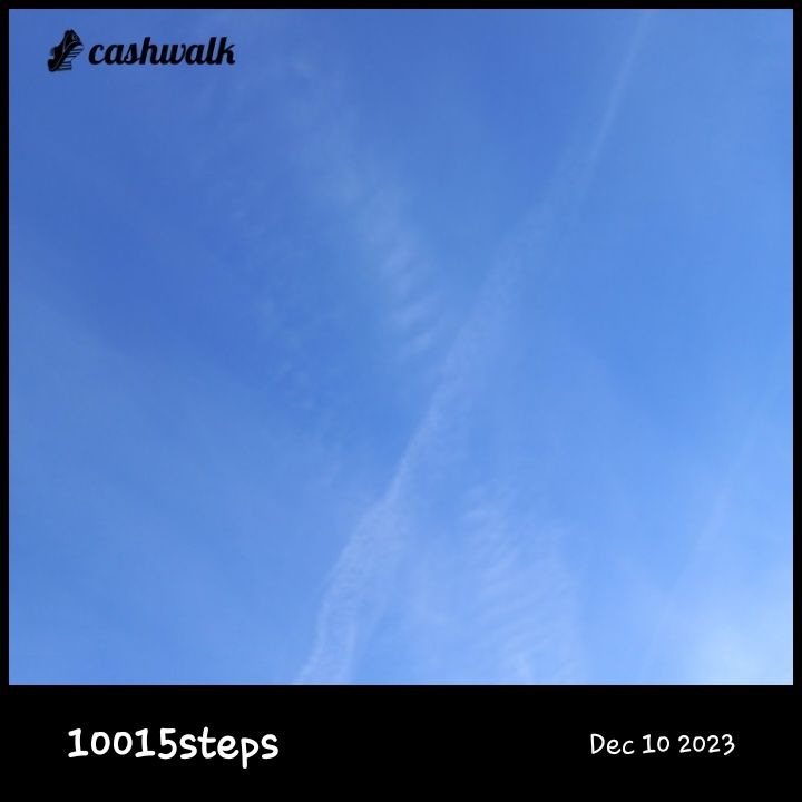 CashWalk_share_capture_20231210_7a8b3c09-e18a-445d-8554-a2a64bfd