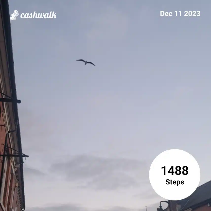 1000050967.jpg_resize