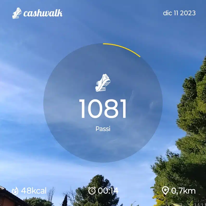 1000004533.jpg_resize