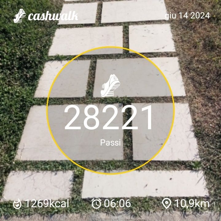 CashWalk_share_capture_20240614_c5aa74db-b8f6-4e96-ad62-53b38e41